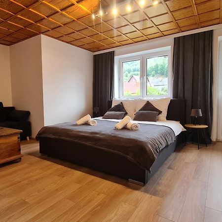 Szumia Plaziny Apartment Muszyna Bagian luar foto