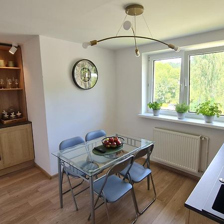 Szumia Plaziny Apartment Muszyna Bagian luar foto