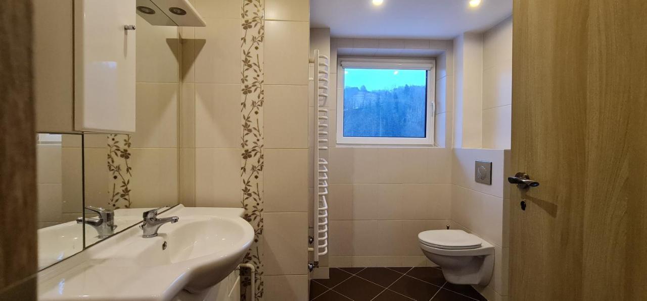Szumia Plaziny Apartment Muszyna Bagian luar foto