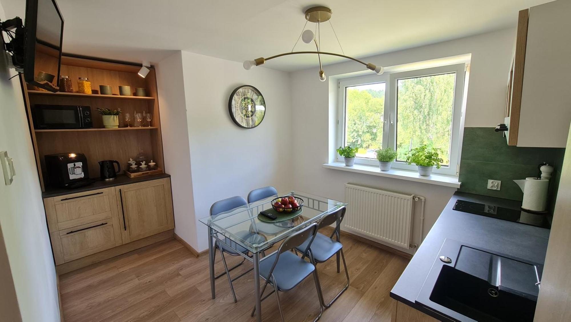Szumia Plaziny Apartment Muszyna Bagian luar foto