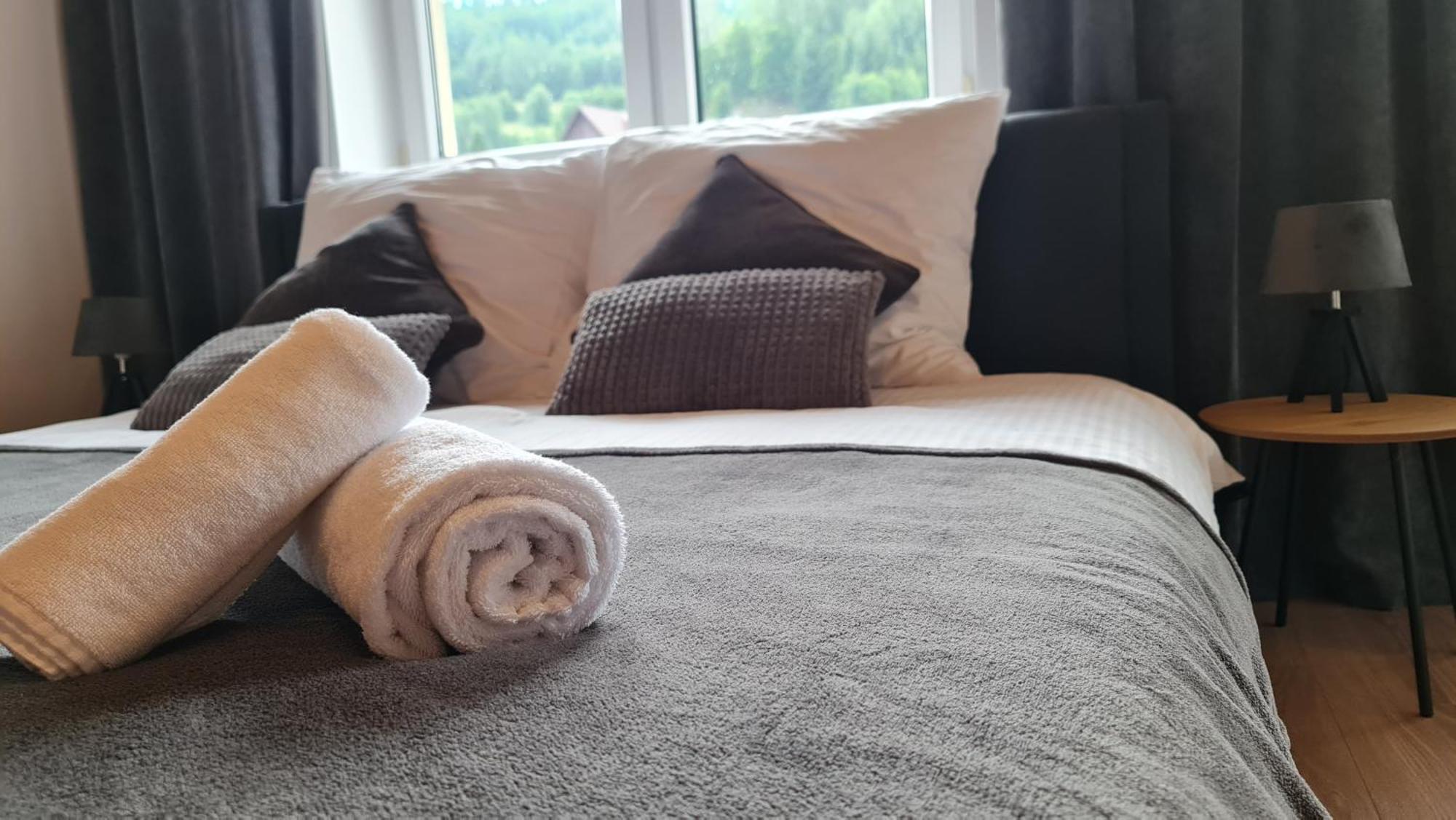 Szumia Plaziny Apartment Muszyna Bagian luar foto